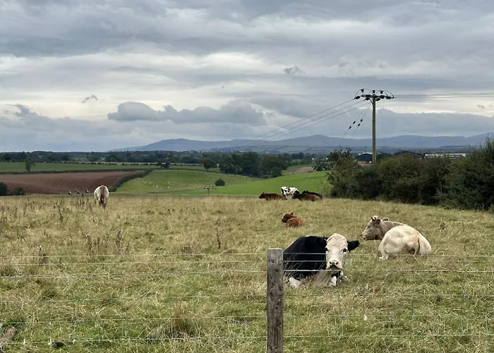 Unit 0 - Fully Serviced Weather Pitch With Hot Tub